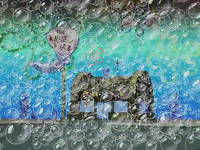new leaf episode 13 GIF by SpongeBob SquarePants