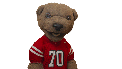 cornell university touchdown Sticker