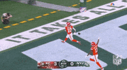 National Football League GIF by NFL