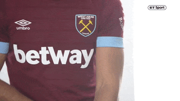 celebrate premier league GIF by BT Sport