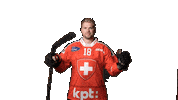 Celebrate National Team Sticker by Swiss Ice Hockey