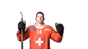 Celebrate National Team Sticker by Swiss Ice Hockey