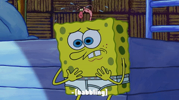 season 10 episode 3 GIF by SpongeBob SquarePants