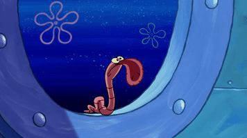 season 10 episode 3 GIF by SpongeBob SquarePants