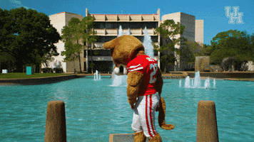 houstoncougars houston sasha gocoogs shasta GIF