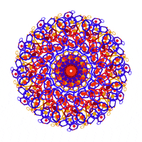 Orange Visuals GIF by xponentialdesign