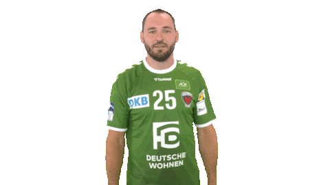 Handball-Bundesliga Berlin Sticker by LIQUI MOLY HBL