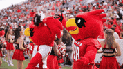 Big Red Mascot GIF by Lamar University