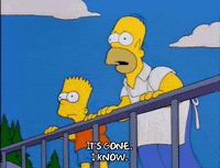 homer simpson GIF