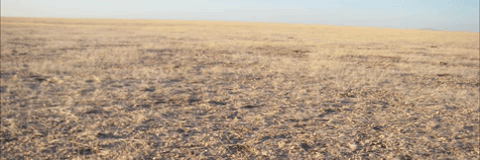 namibia GIF by Science Friday