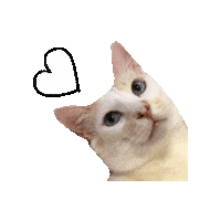Cat Love Sticker