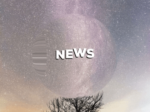 School Sun GIF by PrivatschulenPORTAL.de