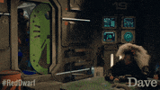 Red Dwarf Cat GIF