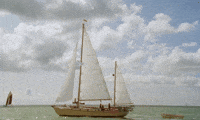 GIF by UnionDocs
