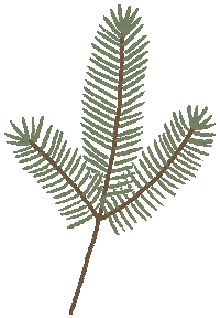 Christmas Illustration Sticker