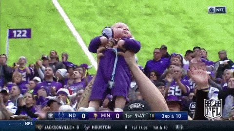 Minnesota Vikings Football GIF by NFL