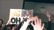Nba Playoffs Sport GIF by NBA