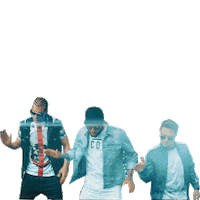 pinto wahin dance Sticker by Dani Alves