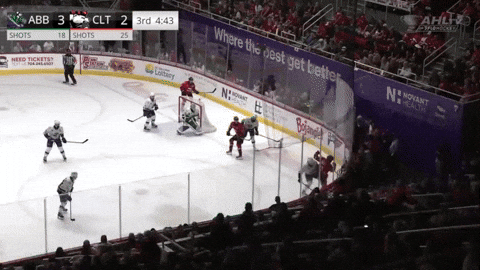 davehallf526c5072eaf489fb3c07fe74b0018fb giphyupload GIF