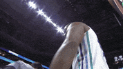 woo hoo dwight howard GIF by NBA