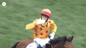 Happy Hong Kong GIF by World Horse Racing