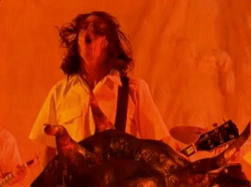 GIF by Foo Fighters