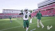 College Football GIF by USF Athletics