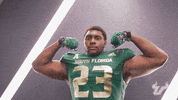 College Football GIF by USF Athletics