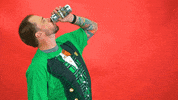 St Patricks Day GIF by StickerGiant