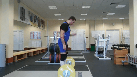 winestain giphygifmaker GIF