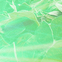 Dotte GIF by Ourofino Agrociência