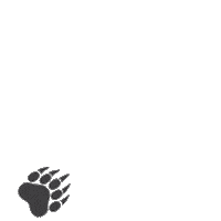 Bear Paws Sticker by Mutual of Omaha's Wild Kingdom