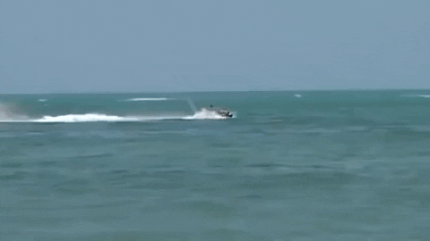 florida GIF