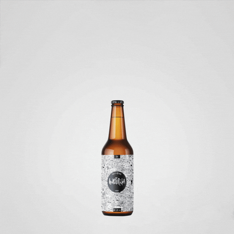 Beer Beercraft GIF by victorious_es
