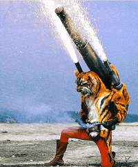 Tiger GIF