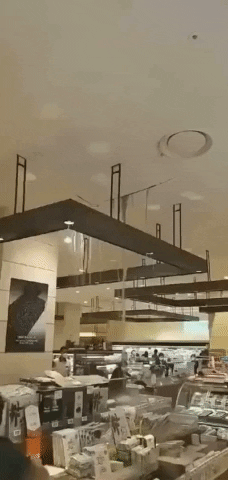 ehdgus1211 giphyupload GIF
