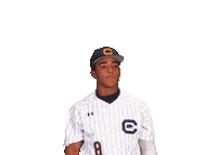 Uc Berkeley Baseball Sticker by Cal Athletics