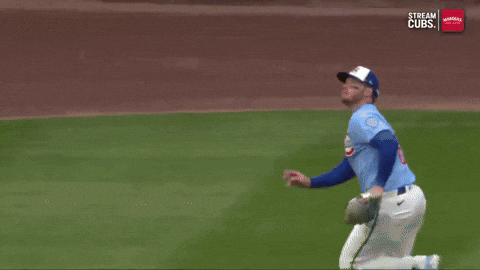 Chicago Cubs Catch GIF by TheDreamTeam 