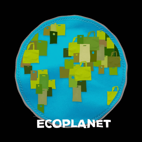 ecoplanet_bag giphygifmaker mundo ecoplanet mundo ecoplanet GIF
