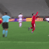fudbalskisavezsrbije  GIF