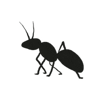 Beer Ant Sticker by Cerveza Hormiga Negra