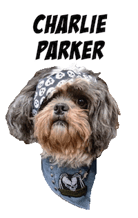 Dog Charlie Sticker