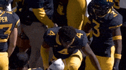 College Football GIF by WVU Sports