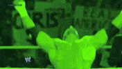 triple h wrestling GIF by WWE