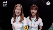 k-pop laughing GIF
