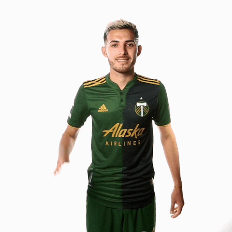 Portland Timbers Hello GIF by Timbers