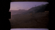 Beach Lol GIF by Grady