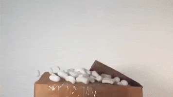 Break Out Surprise GIF by Fluffy Friends