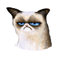 grumpy cat STICKER by imoji