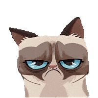 grumpy cat STICKER by imoji